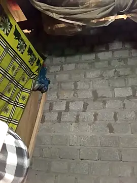 tcm-cute online show from February 9, 2026, 2:15 am