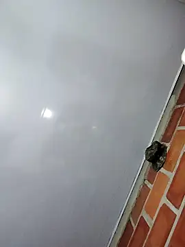 Perropa online show from February 27, 2026, 1:16 am