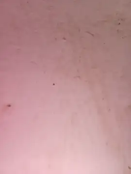 Payal950 online show from September 25, 2025, 6:17 am