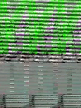 Payal950 online show from October 22, 2025, 1:33 pm