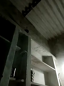 Payal950 online show from November 8, 2025, 12:38 pm