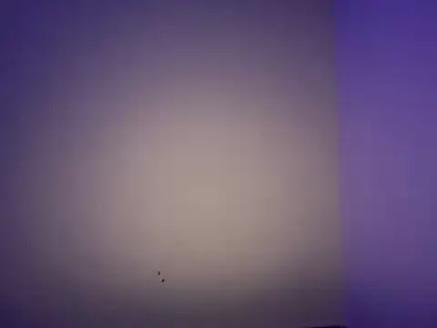 LustyDuoSecrets online show from November 11, 2025, 6:19 pm