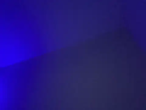 LustyDuoSecrets online show from December 17, 2025, 4:35 pm