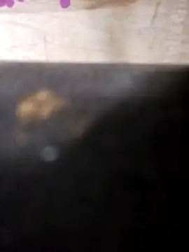 Jeremycle online show from October 25, 2025, 11:21 pm