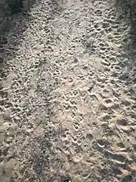 SmartLoda143 online show from November 19, 2025, 11:10 am