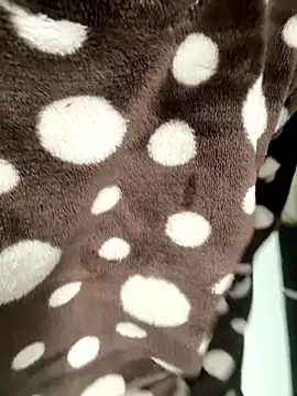 HeerStd online show from November 17, 2025, 5:24 am