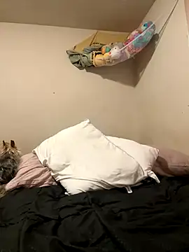 VanessaRose5362 online show from October 14, 2025, 2:29 pm