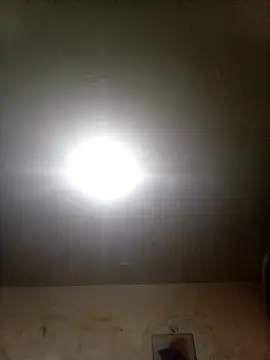 Bebicho14 online show from September 9, 2025, 2:22 am