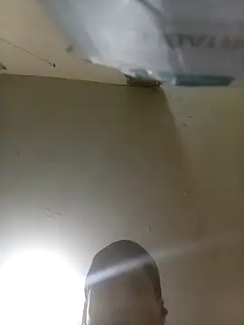 Bebicho14 online show from September 14, 2025, 7:51 am