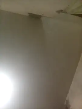 Bebicho14 online show from April 3, 2026, 1:58 am