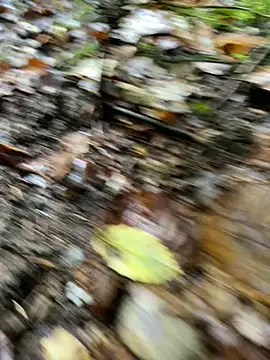 andymatthisbwc online show from October 5, 2025, 3:43 pm