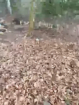 andymatthisbwc online show from February 25, 2026, 2:59 pm