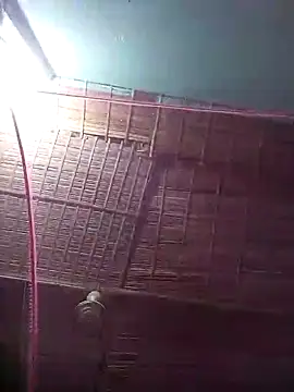 bappyandbanulove online show from October 9, 2025, 6:28 pm