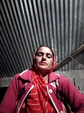 Jalebi bay online show from November 11, 2025, 12:38 pm