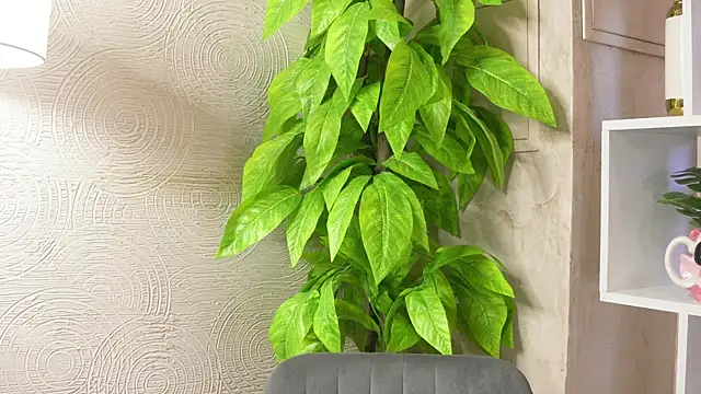 MarlinVarian online show from September 9, 2025, 6:13 am