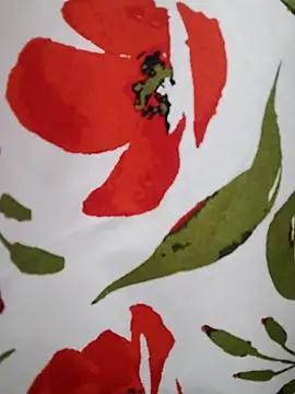  tetas 92 online show from February 18, 2026, 2:24 pm