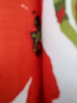  tetas 92 online show from April 20, 2026, 3:59 pm