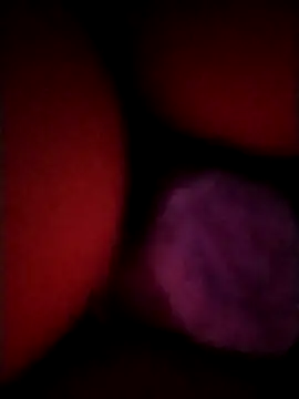  tetas 92 online show from April 21, 2026, 1:53 am