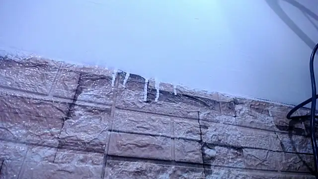 Bicky 24 online show from April 4, 2026, 8:34 am