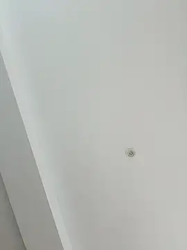 MoniqueMulberry online show from November 8, 2025, 7:34 pm