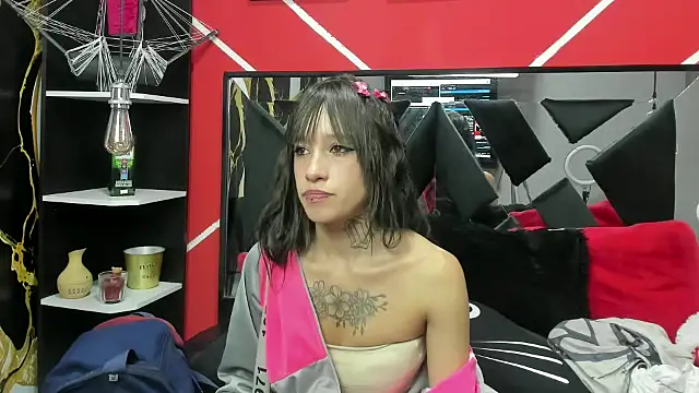 sharik noa online show from December 1, 2025, 7:41 pm