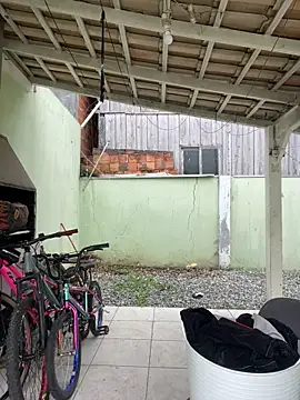 cat9269 online show from November 26, 2025, 5:47 pm