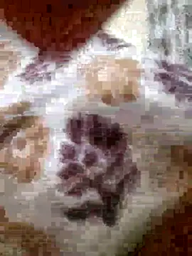 roshankakol online show from November 21, 2025, 5:33 pm