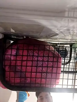 Snapshot of Ferxxxo1503 chatting on November 5, 2025, 6:24 am Ferxxxo1503 online show from November 5, 2025, 6:24 am