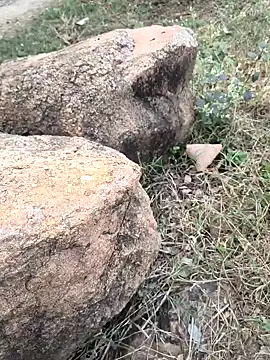 Ag punam online show from November 16, 2025, 10:43 am