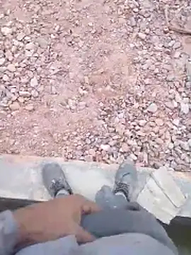 haryanaboypanipat12 online show from April 2, 2026, 7:50 am