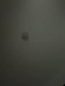 Andrestarr online show from April 2, 2026, 2:04 pm