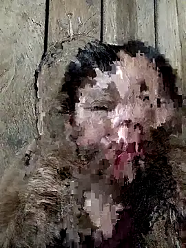 bonnie-00 online show from November 15, 2025, 11:40 am