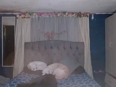 skarleth hot21 online show from October 25, 2025, 4:31 am