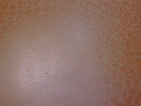 soniya babby online show from November 23, 2025, 4:01 am