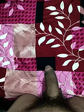 bold guy 1234 online show from October 22, 2025, 9:03 pm