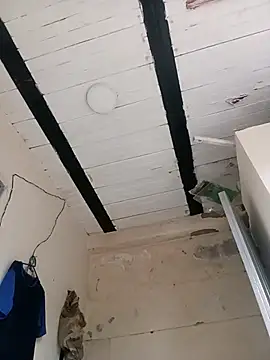 zamir adam online show from October 31, 2025, 11:55 am