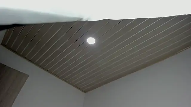 evelynrojas online show from September 18, 2025, 8:00 pm