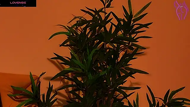 CoraVex online show from September 25, 2025, 4:27 am