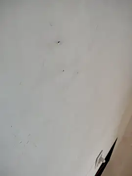 Snapshot of bhabh1 chatting on October 8, 2025, 7:39 am bhabh1 online show from October 8, 2025, 7:39 am