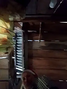 callistra online show from April 9, 2026, 4:34 am