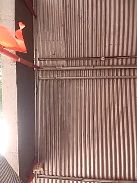 ipvk online show from April 21, 2026, 7:03 am