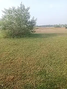 Snapshot of AgitatedStrip9 chatting on October 1, 2025, 2:17 am AgitatedStrip9 online show from October 1, 2025, 2:17 am