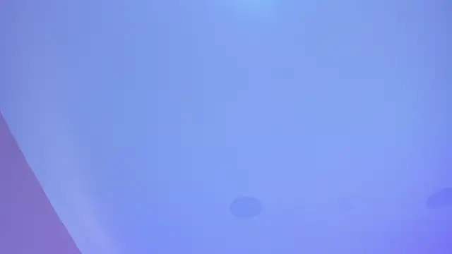 cata monrey online show from October 29, 2025, 7:37 pm