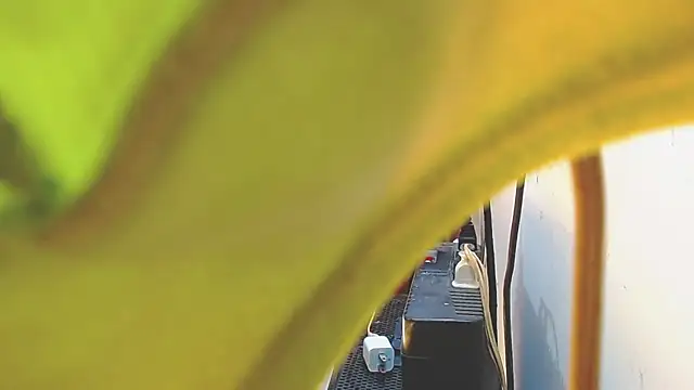 AnySugar online show from February 15, 2025, 7:50 pm