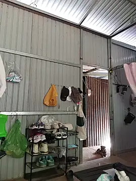 Helen-Tran online show from December 17, 2025, 1:44 am