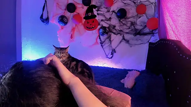 kitty  chs online show from November 1, 2025, 5:26 pm