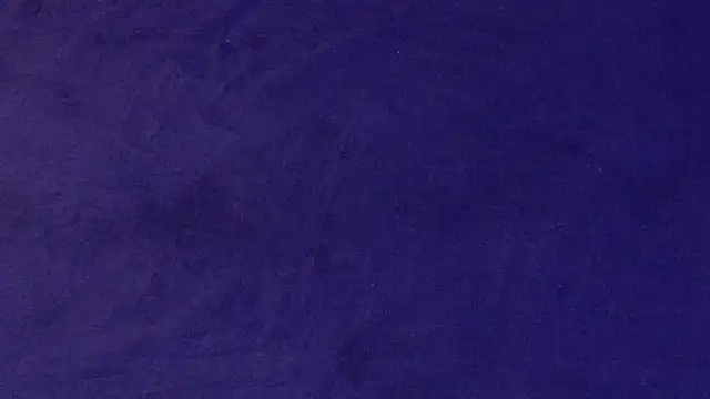 big bearr online show from October 12, 2025, 1:54 pm