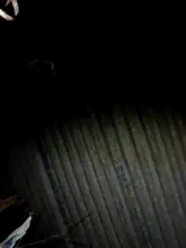 Rs sonam online show from February 23, 2026, 3:31 pm