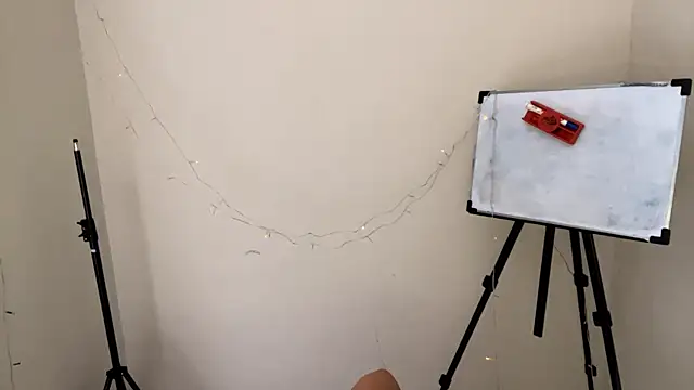 CarollFalick online show from November 25, 2025, 5:29 am