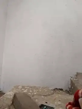 PEEHU-50 online show from November 28, 2025, 3:20 am